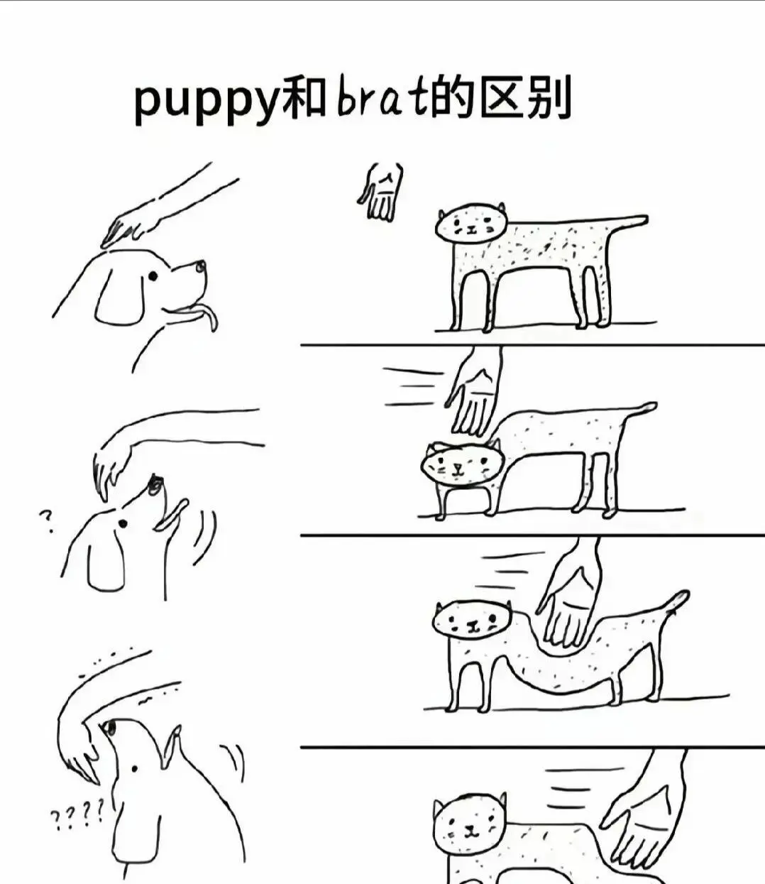 西檬之家brat属性:字母圈调皮臣服者类型 一