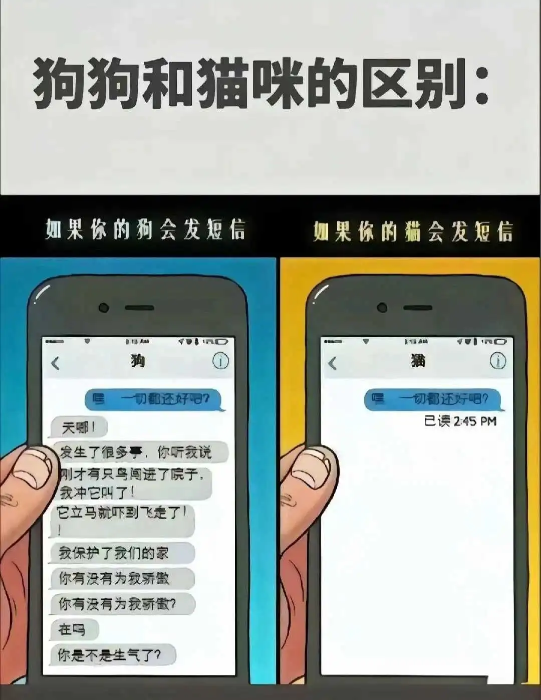 西檬之家K9犬系怎么玩?字母圈属性解析 一