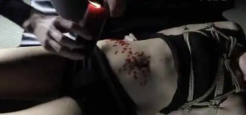 西檬之家BDSM是什么意思? 一
