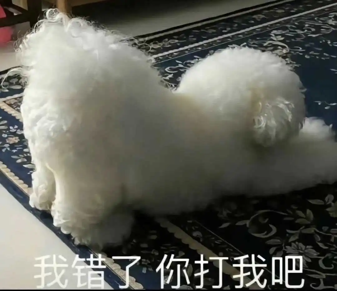 西檬之家DS关系是什么? 一