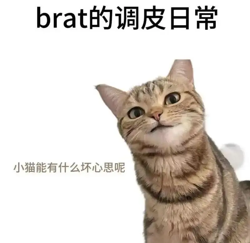 西檬之家字母圈K8是什么? 一
