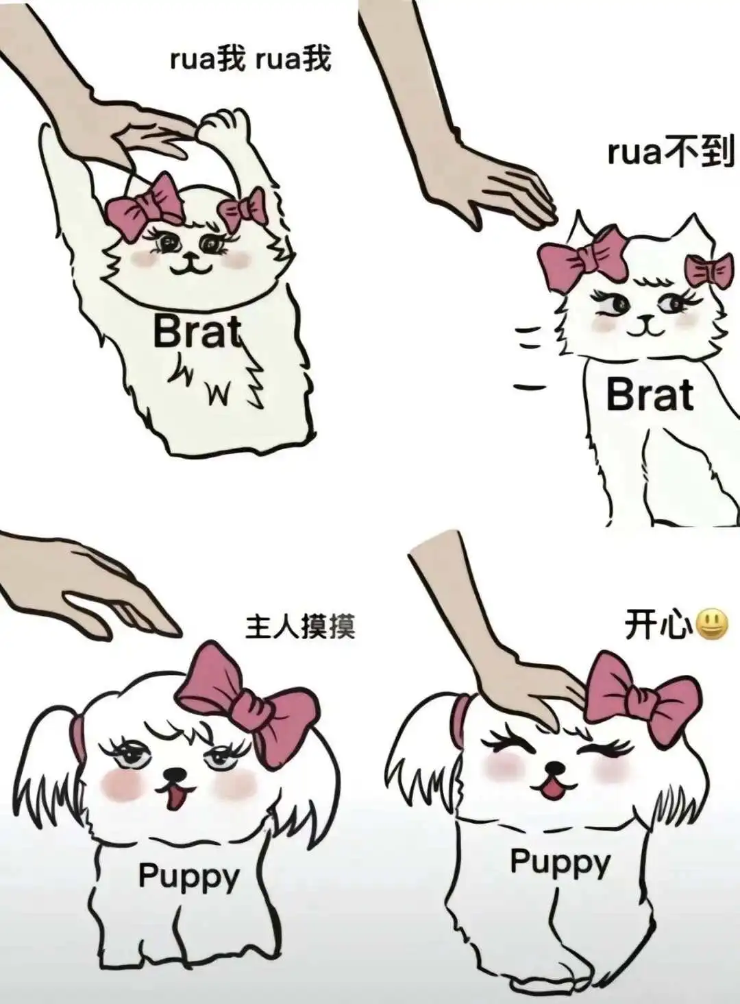 西檬之家字母圈的brat属性是什么? 一
