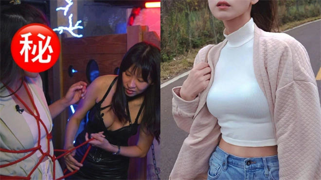 西檬之家S属性是什么意思? 一