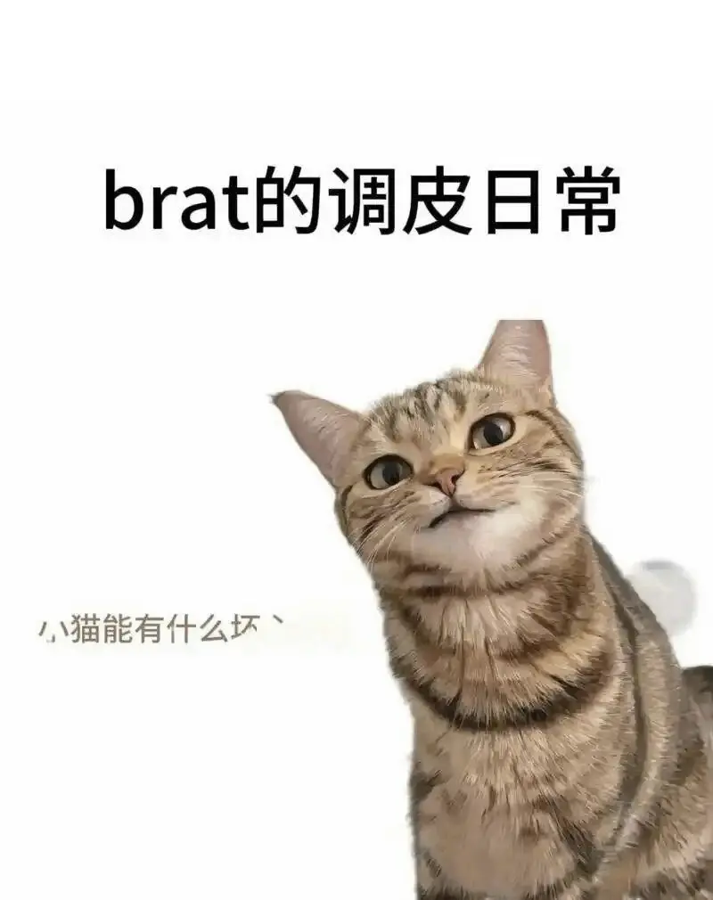 西檬之家S倾向是什么意思? 一