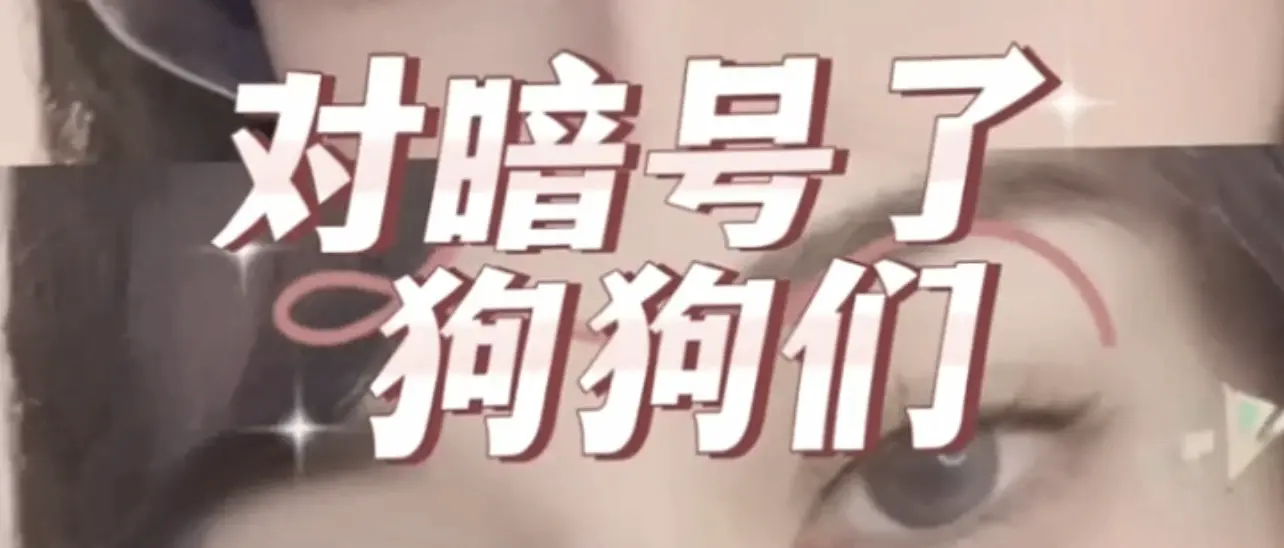 西檬之家TK是什么意思?字母圈挠痒痒玩法入门 一