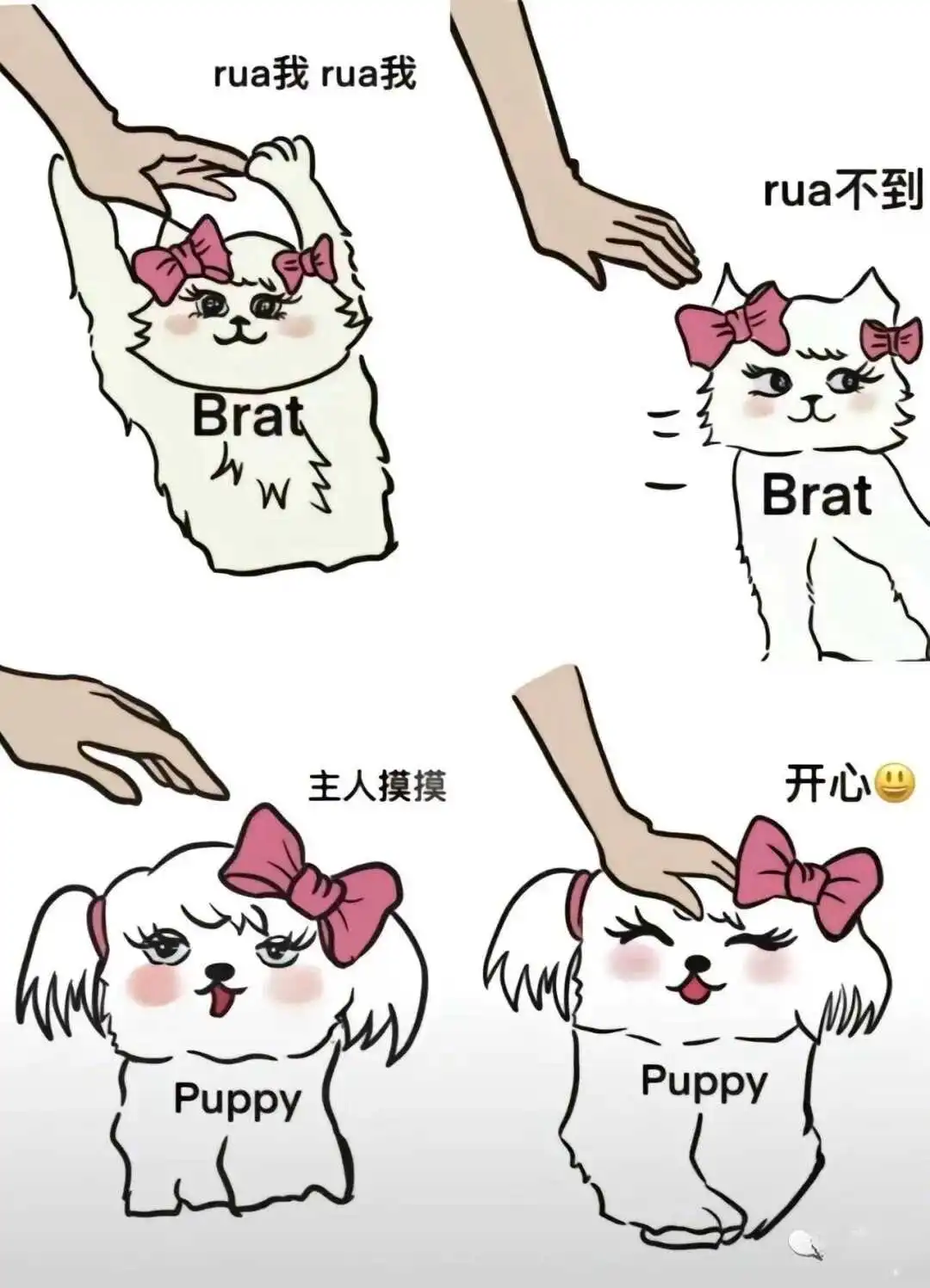 西檬之家K8猫系是什么意思?你的字母圈属性是什么? 一
